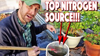 Free Organic Nitrogen Sources For Plants And Garden Our Top 10 [upl. by Megen]