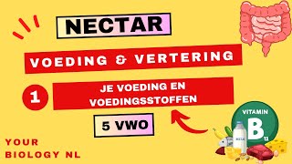 5 vwo  Voeding amp Vertering  1  Voeding en voedingsstoffen [upl. by Grearson]