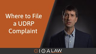 Domain Dispute Masterclass 11 Where to File a UDRP Complaint [upl. by Gaillard]