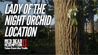 Red Dead Redemption 2 Lady of the Night Orchid Multiple Location [upl. by Kreitman]