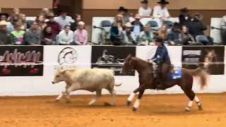 NRCHA 2024 snaffle bit futurity highlights [upl. by Cadmarr221]