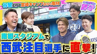 谷繁元信と巡るプロ野球キャンプ取材！西武注目の甲斐野、古賀、武内に直撃【中川絵美里と野球⚾宮崎キャンプ取材with谷繁ch編①】 [upl. by Anilac]