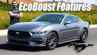 2024 FORD Mustang Eco Boost Premium Features  Worth it Over the GT [upl. by Nalla]