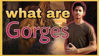 What are Gorges Explained in hindi [upl. by Sedruol]