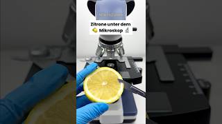 Wie sieht eine Zitrone unter dem Mikroskop aus 🍋🔬😱 [upl. by Annasiul324]