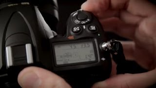 The Best F Stop for D200 in Daylight  Photography Basics [upl. by Adar]