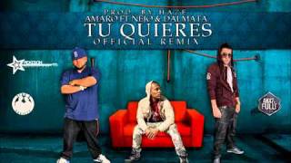 Amaro Ft ñejo amp Dalmata  Tu Quieres nuevo Official Remix [upl. by Aneetsyrk]