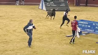 VALENCIA 1632024 VACAS FALLERAS GN FERNANDO MACHANCOSES [upl. by Craggie68]