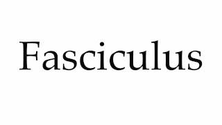 How to Pronounce Fasciculus [upl. by Dhiren]