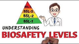 Understanding Biosafety Levels [upl. by Mascia]