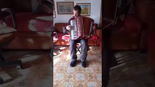 Beethoven  Per Elisa  Accordion Cover By Paul Arrangement [upl. by Bar]