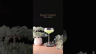 BASIL GIMLET COCKTAIL RECIPE🌱 [upl. by Haron32]