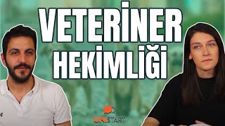 VETERİNER HEKİMLİK  13 Soruda Veteriner Fakültesi [upl. by Llien]