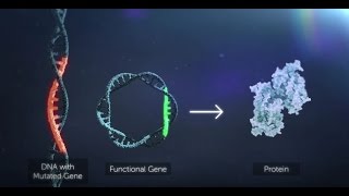 Gene Therapy Explained [upl. by Laehplar24]