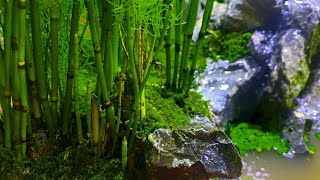 Making bamboo forest with mini waterfall [upl. by Aura]