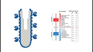 Thommen Medical Surface INICELL®  more security right from the start [upl. by Imekawulo]