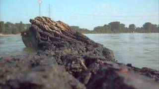 die Sandbank am Rhein [upl. by Chill]