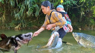 FULL VIDEO Journey to catch giant fish  Making traditional sticky rice cakes [upl. by Neetsirhc]