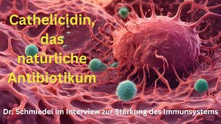 Cathelicidin das natürliche Antibiotikum Dr Schmiedel im Interview zur Stärkung des Immunsystems [upl. by Atika]