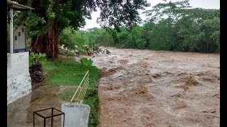 Tarapoto Desborde del río Cumbaza causa alarma en la población [upl. by Felice]