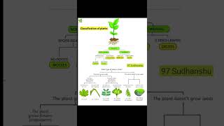 Classification of plants  Flowering plants and nonflowering plants  ETEA SMASHER [upl. by Adnauqahs730]