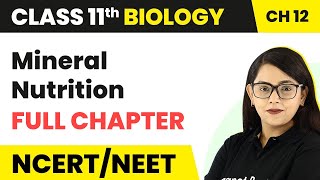 Mineral Nutrition  Full Chapter Explanation  Class 11 Biology Chapter 12  NCERTNEET [upl. by Alita896]