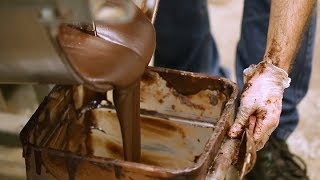 How Chocolate is Made [upl. by Dinesh17]