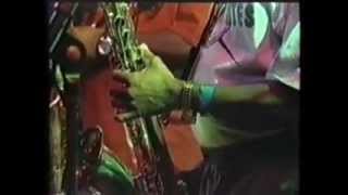 The Skatalites Live At Lokerse Feesten rock fort rock [upl. by Enaasiali432]