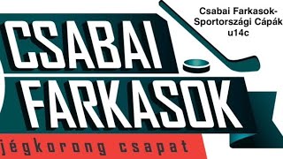 Csabai FarkasokSportországi Cápák u14c 20241123 Debrecen [upl. by Alida515]