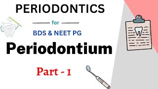 Periodontium Easy Dentistry  Lecture 1  Teethopedia [upl. by Darice]