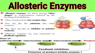 Allosteric Enzymes And Feedback Mechanism  Lecture No  28 [upl. by Aduhey]