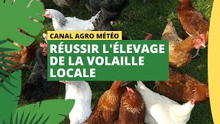 Canal Agro Météo  Réussir lélevage de la volaille locale [upl. by Ydasahc269]