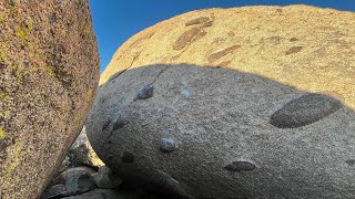 Forgotten Wisdom V8 Possible FA  Culp Valley Bouldering [upl. by Nodnar]