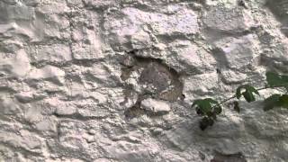 Plastic masonry paint  how it destroys walls [upl. by Craggie]