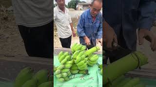 Cut Off Ripe Bananas Before Packing And Delivery [upl. by Niel]