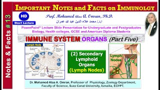 IMPORTANT NOTES and FACTS on IMMUNOLGY  Immune System Organs Part five [upl. by Vivian975]