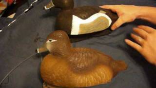 ringneck decoys [upl. by Olrak]