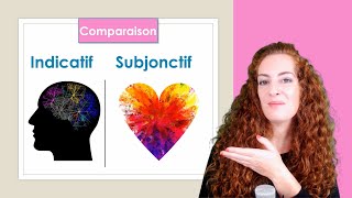 Subjonctif ou Indicatif  FRENCH SUBJUNCTIVE  Leçon de français French lesson [upl. by Ixel969]