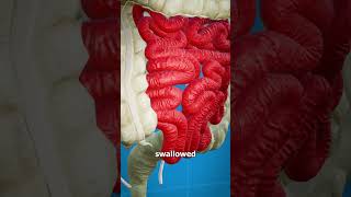 What Is A Hookworm 😨 🪱 [upl. by Lobiv]