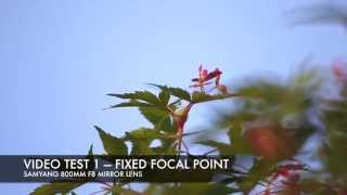 Samyang 800mm f8 mirror lens video tests [upl. by Samford]