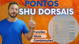 Pontos Shu Dorsais O que são os Pontos Shu Dorsais como punturar e dicas de localização [upl. by Ayerdna347]