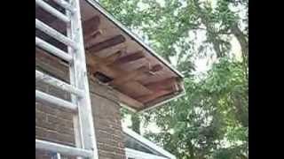 REPAIRING SOFFITS AND FASCIA [upl. by Hausner]