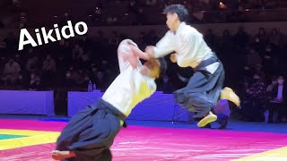 Amazing Aikido is demonstrated at the KUDO tournament by Shirakawa Ryuji [upl. by Ainat876]