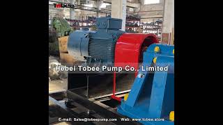 Tobee® TH10X8ST Horizontal Slurry Pump for Cyclone Separation Device [upl. by Ettelrahc]