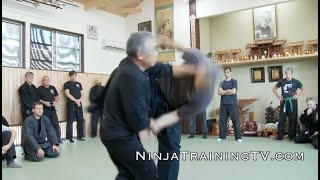 Budo Taijutsu of Noguchi Sensei at Hombu Dojo 4 [upl. by Takken]