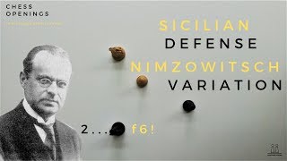 Nimzowitsch Variation  Sicilian Defense Theory [upl. by Rich]