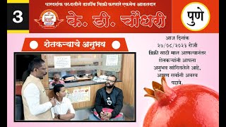 3  Dalimb Shetkaryanche Anubhav  Pomegranate Farmer Experience डाळिंब उत्पादक शेतकऱ्यांचे अनुभव [upl. by Delos]