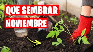 QUE SEMBRAR en NOVIEMBRE Calendario de Siembra  TAREAS  La Huerta de Ivan 🌱 [upl. by Pettifer]