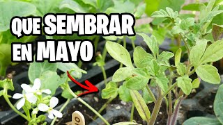 Que sembrar en MAYO 🌱 Calendario de Siembra 2023  La Huerta de Ivan [upl. by Eceerahs]