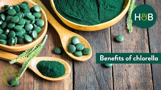 Benefits of Chlorella  Debunking Wellness  HampB [upl. by Yelena]